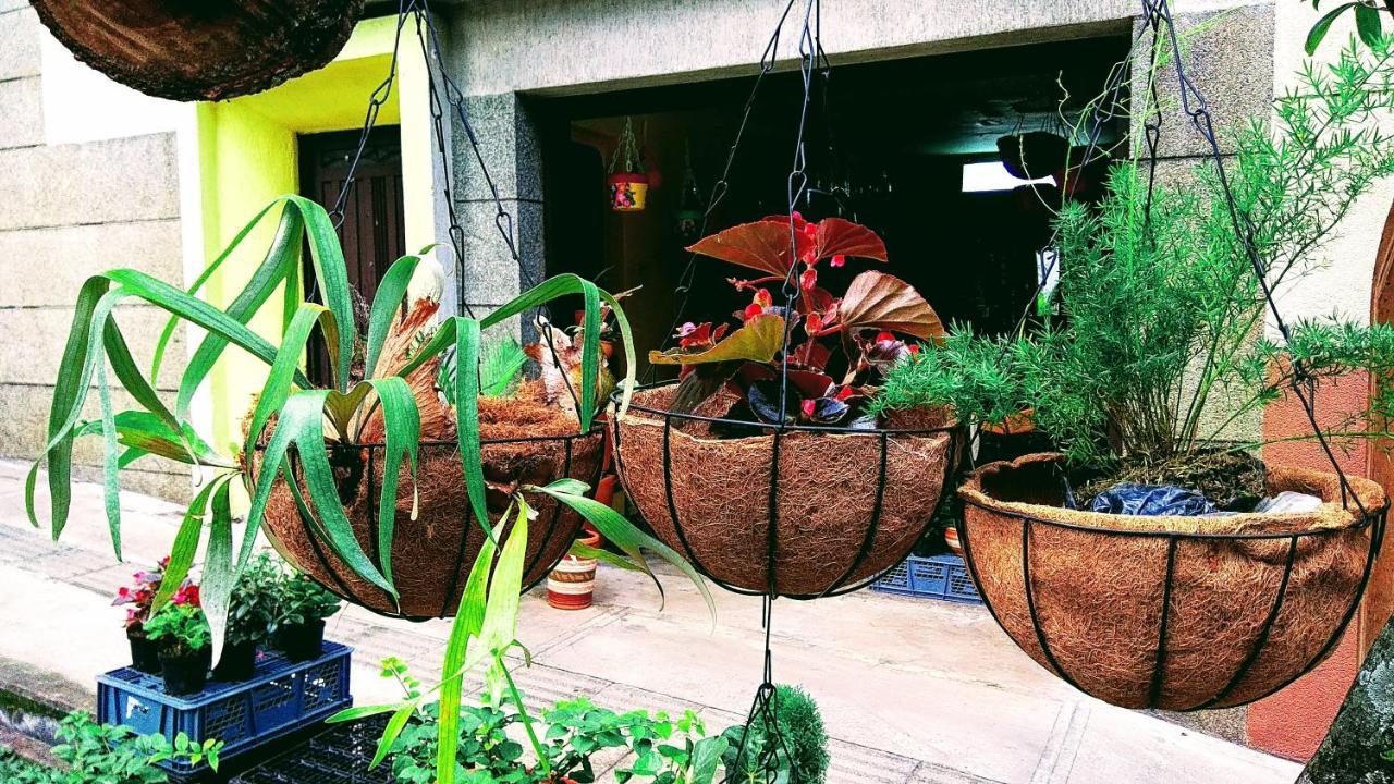 Casa Luna -Estrategica Ubicacion- Medellín Eksteriør billede