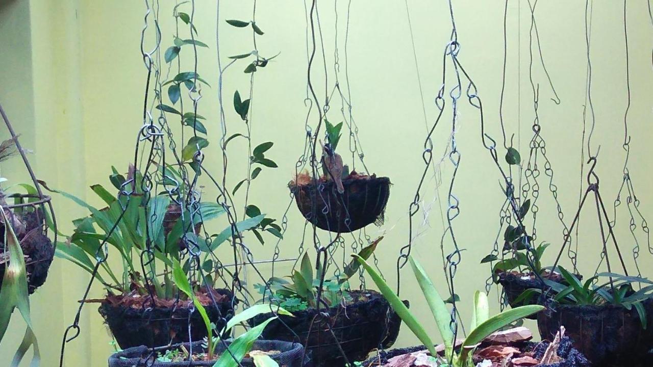 Casa Luna -Estrategica Ubicacion- Medellín Eksteriør billede